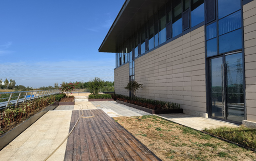 步长国际实拍图3